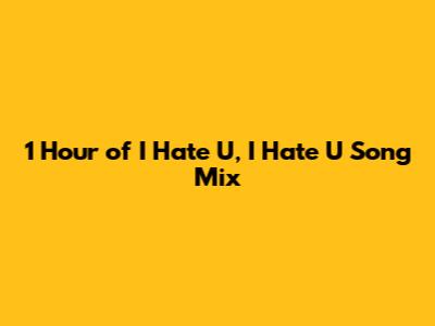 1 Hour of "I Hate U, I Hate U" Song Mix