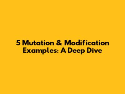 5 Mutation & Modification Examples: A Deep Dive