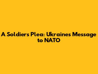 A Soldier's Plea: Ukraine's Message to NATO