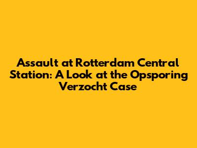 Assault at Rotterdam Central Station: A Look at the Opsporing Verzocht Case