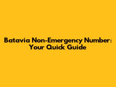 Batavia Non-Emergency Number: Your Quick Guide