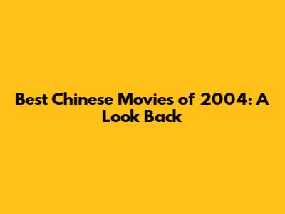 Best Chinese Movies of 2004: A Look Back