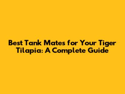 Best Tank Mates for Your Tiger Tilapia: A Complete Guide