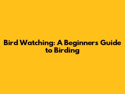 Bird Watching: A Beginner's Guide to Birding
