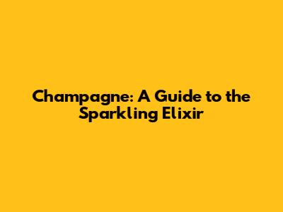 Champagne: A Guide to the Sparkling Elixir