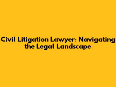 Civil Litigation Lawyer: Navigating the Legal Landscape