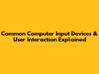 Common Computer Input Devices & User Interaction Explained