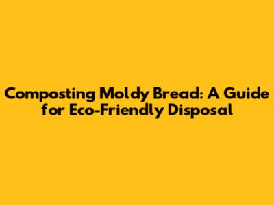 Composting Moldy Bread: A Guide for Eco-Friendly Disposal