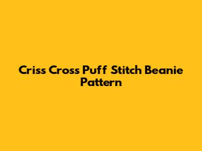 Criss Cross Puff Stitch Beanie Pattern