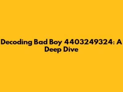 Decoding 'Bad Boy 4403249324': A Deep Dive