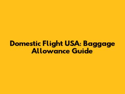 Domestic Flight USA: Baggage Allowance Guide