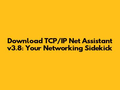 Download TCP/IP Net Assistant v3.8: Your Networking Sidekick
