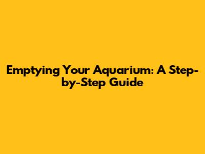 Emptying Your Aquarium: A Step-by-Step Guide