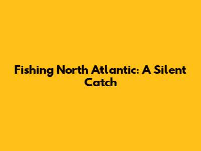 Fishing North Atlantic: A Silent Catch
