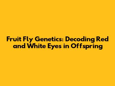 Fruit Fly Genetics: Decoding Red and White Eyes in Offspring