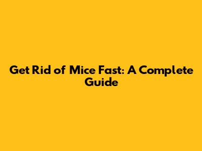 Get Rid of Mice Fast: A Complete Guide