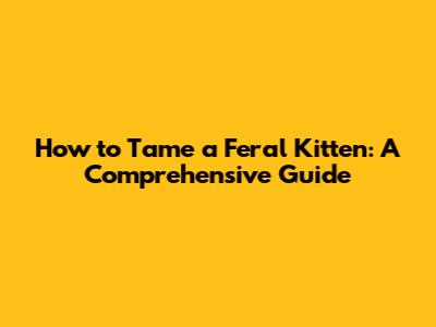 How to Tame a Feral Kitten: A Comprehensive Guide