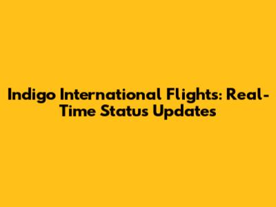 Indigo International Flights: Real-Time Status Updates