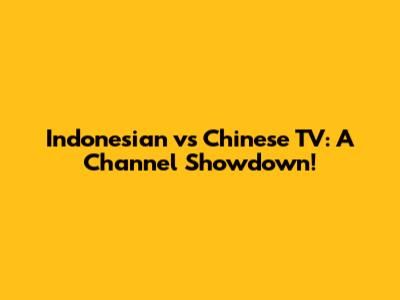 Indonesian vs Chinese TV: A Channel Showdown!