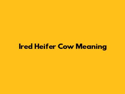 Ired Heifer Cow Meaning