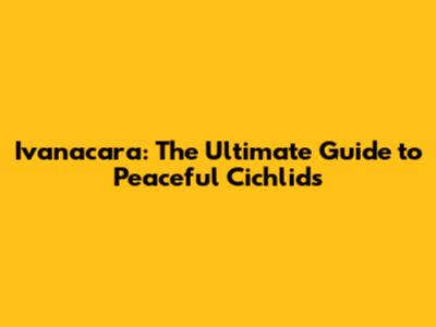Ivanacara: The Ultimate Guide to Peaceful Cichlids