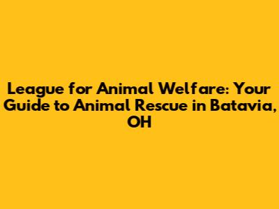 League for Animal Welfare: Your Guide to Animal Rescue in Batavia, OH