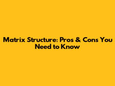 Matrix Structure: Pros & Cons You Need to Know