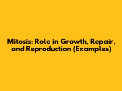 Mitosis: Role in Growth, Repair, and Reproduction (Examples)