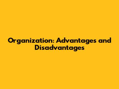Organization: Advantages and Disadvantages