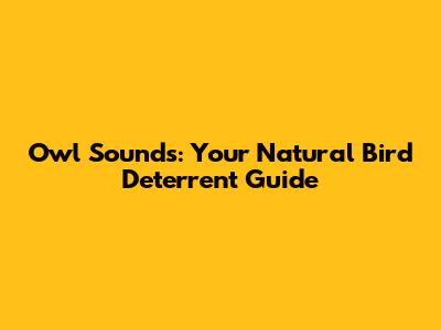 Owl Sounds: Your Natural Bird Deterrent Guide