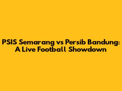PSIS Semarang vs Persib Bandung: A Live Football Showdown