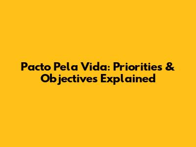 Pacto Pela Vida: Priorities & Objectives Explained