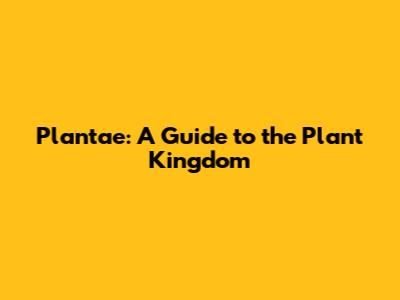 Plantae: A Guide to the Plant Kingdom
