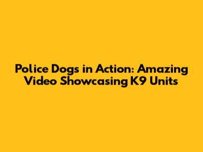 Police Dogs in Action: Amazing Video Showcasing K9 Units