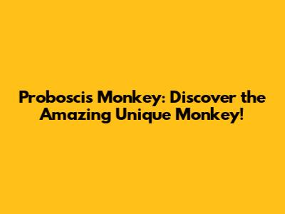 Proboscis Monkey: Discover the Amazing Unique Monkey!