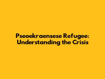 Pseoekraensese Refugee: Understanding the Crisis