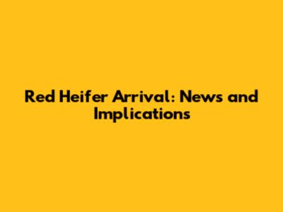 Red Heifer Arrival: News and Implications