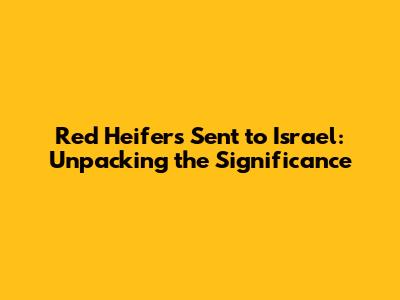 Red Heifers Sent to Israel: Unpacking the Significance