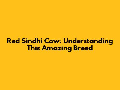 Red Sindhi Cow: Understanding This Amazing Breed