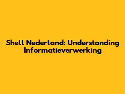 Shell Nederland: Understanding Informatieverwerking