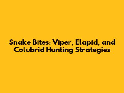 Snake Bites: Viper, Elapid, and Colubrid Hunting Strategies