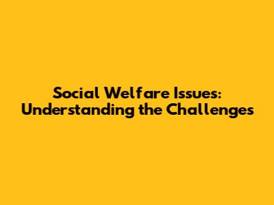 Social Welfare Issues: Understanding the Challenges