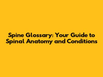Spine Glossary: Your Guide to Spinal Anatomy and Conditions