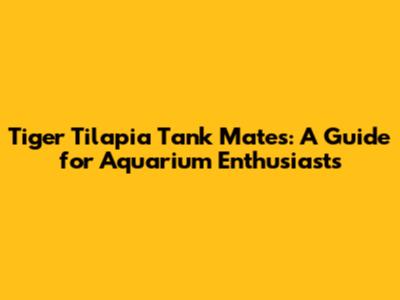 Tiger Tilapia Tank Mates: A Guide for Aquarium Enthusiasts