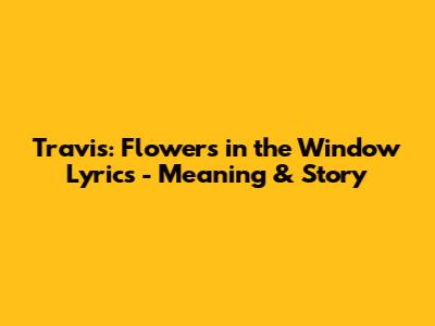Travis: Flowers in the Window Lyrics - Meaning & Story