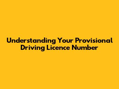 Understanding Your Provisional Driving Licence Number