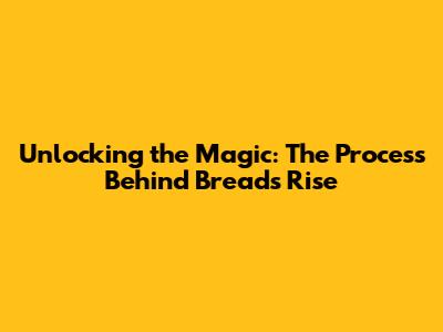 Unlocking the Magic: The Process Behind Bread's Rise