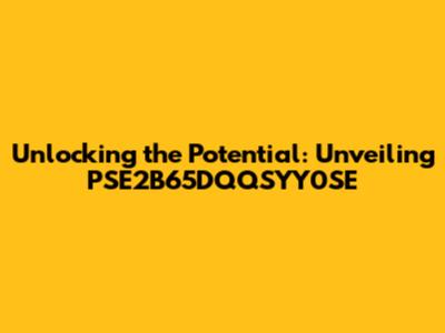 Unlocking the Potential: Unveiling PSE2B65DQQSYY0SE