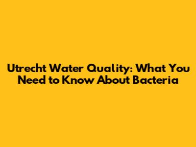Utrecht Water Quality: What You Need to Know About Bacteria