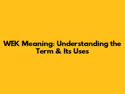 WEK Meaning: Understanding the Term & Its Uses